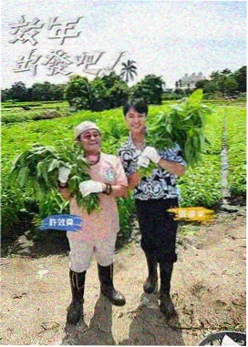 标签词典模板示意图